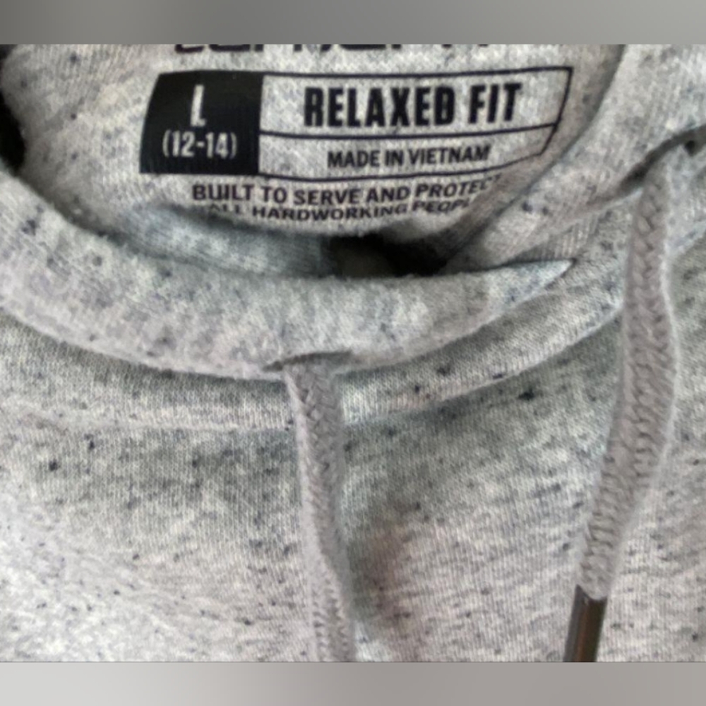 Carhartt Clarksburg Graphic Sleeve Hoodie Sweatshirt Size L MSRP $59.99 - Picture 8 of 9